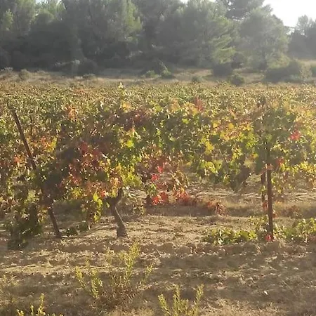 Rouge Corbieres Villa *